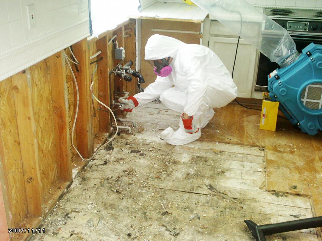 Mold Inspection And Remediation