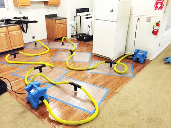 Dry Hardwood Floors