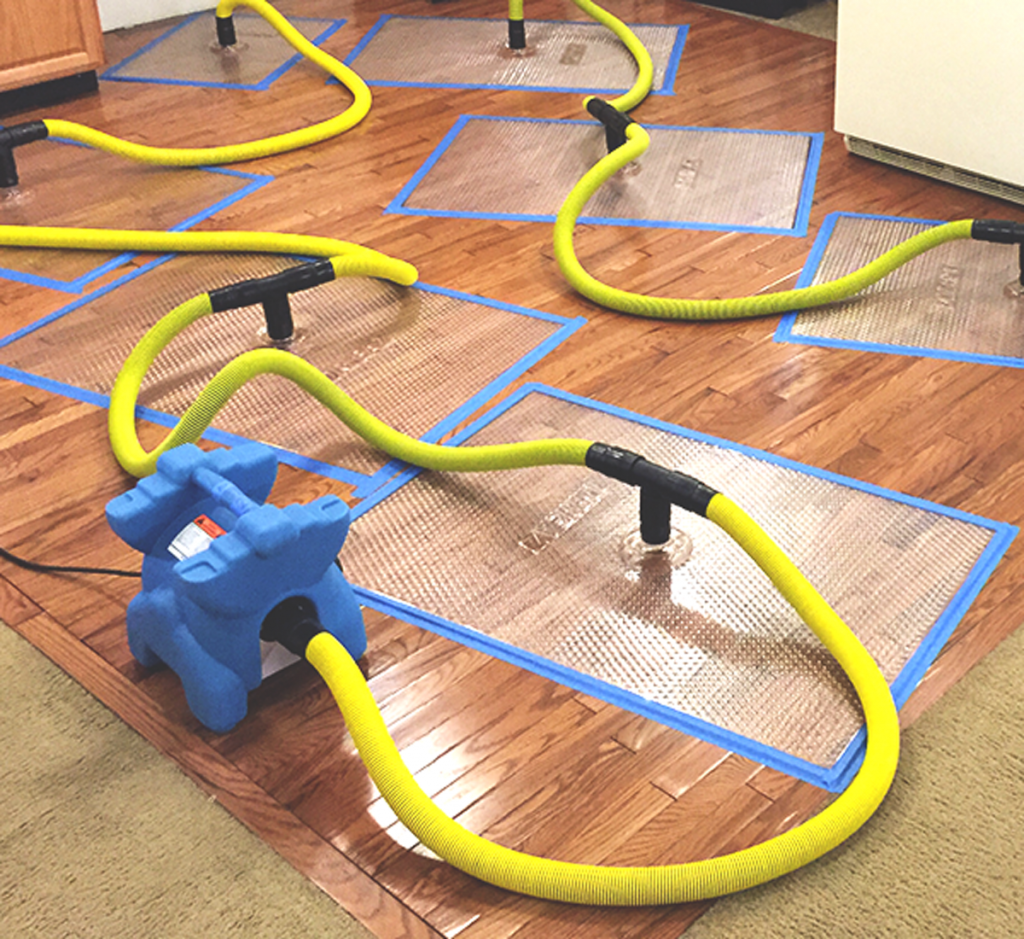 Guide to Water Damaged Flooring (2021) Incredible Restorations