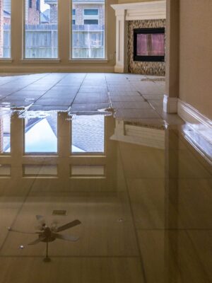 24restech-water-damage-tacoma 24restech-water-damage-tacoma